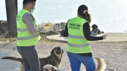 SARIÇAM BELEDİYESİ SOKAKTAKİ DOSTLARI UNUTMUYOR