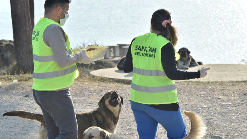 SARIÇAM BELEDİYESİ SOKAKTAKİ DOSTLARI UNUTMUYOR