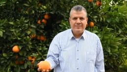 “Portakal ihracatını yasaklayan skandal sona erdi”