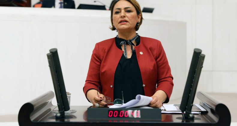 MÜZEYYEN ŞEVKİN’DEN HAYATİ ÖNEMDE KANUN TEKLİFİ