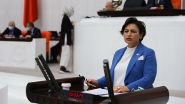 ŞEVKİN: KADIN HAKLARI 20 YILDIR GERİYE GÖTÜRÜLÜYOR!