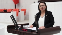 ÇİFTÇİNİN ‘DON’ İSYANI MECLİSE TAŞINDI…