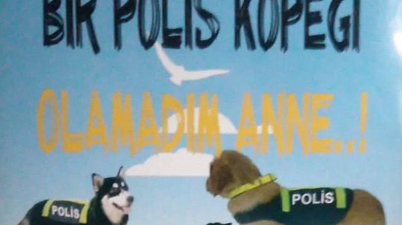SOKAK HAYVANLARINA ADANAN BİR ÖMÜR…