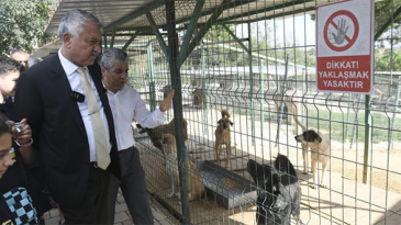 HAYVANLARI KORUMAK İNSANLIKTIR…