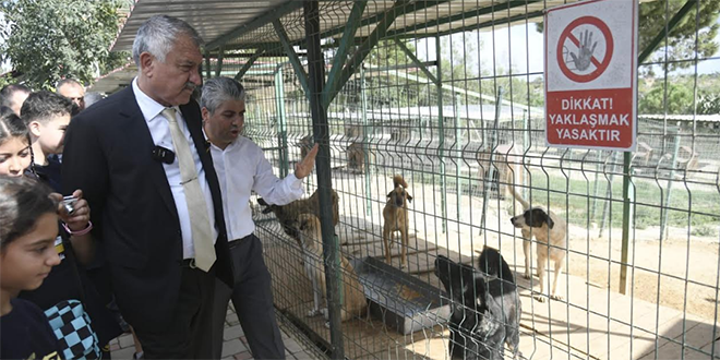 HAYVANLARI KORUMAK İNSANLIKTIR…