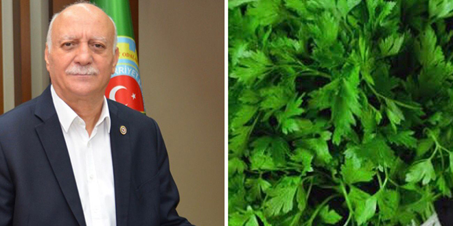 MAYDONOZ DEYİP GEÇMEYİN…