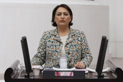 CEYHAN NEHRİ’NDEKİ ÖLÜMLER MECLİS GÜNDEMİNDE