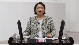 CEYHAN NEHRİ’NDEKİ ÖLÜMLER MECLİS GÜNDEMİNDE