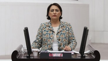 CEYHAN NEHRİ’NDEKİ ÖLÜMLER MECLİS GÜNDEMİNDE