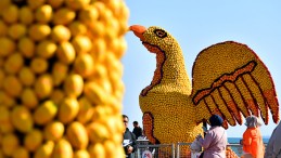 MERSİN, NARENCİYE FESTİVALİ’NDE BULUŞTU