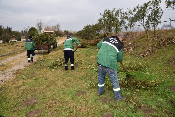 CEYHAN’DA PARKLAR, SOKAKLAR, BAHÇELER MİS GİBİ…