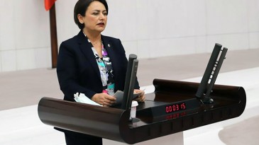 MÜZEYYEN ŞEVKİN, HÜKÜMETE SERT ÇIKTI