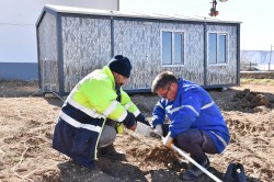 GEZİCİ HİZMET ARAÇLARI DEPREMZEDELER İÇİN BÖLGEDE