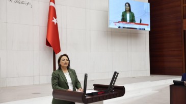 “DEPREMİN YÜKÜ EN ÇOK KADINLAR VE ÇOCUKLARIN ÜZERİNE OLDU”