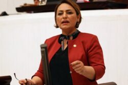 MÜZEYYEN ŞEVKİN’İN HURDA TEŞVİK KANUNU TEKLİFİ TBMM’DE REDDEDİLDİ…