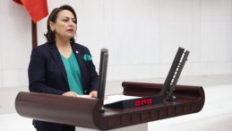 ORMANLAR VE MERALAR BETONA GÖMÜLECEK