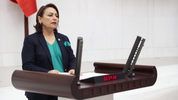 ORMANLAR VE MERALAR BETONA GÖMÜLECEK