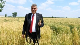 “HASAT YAKLAŞTI, ORTADA TABAN FİYAT YOK”