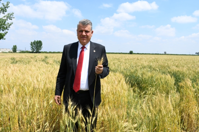 “HASAT YAKLAŞTI, ORTADA TABAN FİYAT YOK”