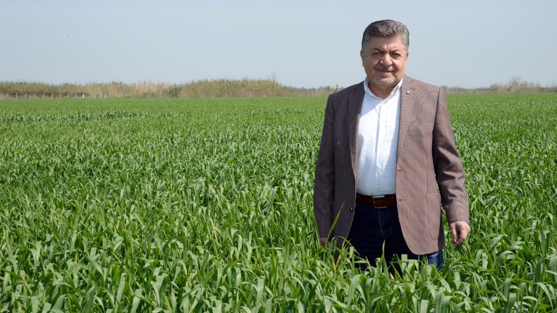 KORKUT: BUĞDAY TABAN FİYATI EN AZ 11 LİRA OLMALI