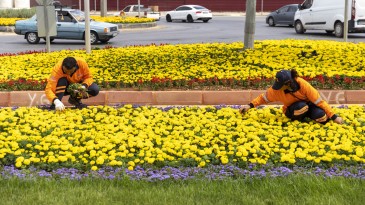 BÜYÜKŞEHİR’DEN KENT GENELİNDE PEYZAJ ÇALIŞMALARI