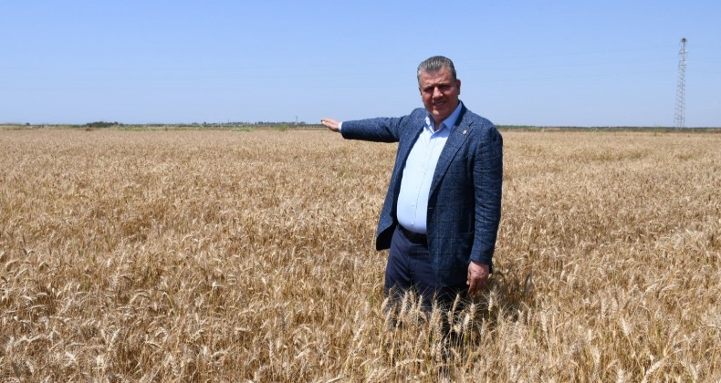 “BUĞDAY ÜRETİCİSİNİN EMEĞİNİ ÇALDILAR”