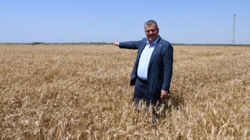 “TMO’DA PARA YOK, ÇİFTÇİNİN ÜRÜNÜNÜ ALAMIYOR”