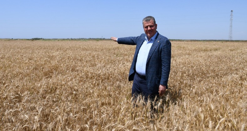 “TMO’DA PARA YOK, ÇİFTÇİNİN ÜRÜNÜNÜ ALAMIYOR”