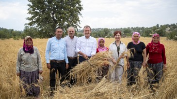 BAŞKAN SEÇER, ÜRETİCİLERLE HASAT YAPTI