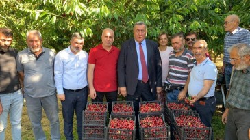 GÜRER: “KİRAZ ÜRETİCİSİ KAN AĞLIYOR”