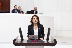 CHP’Lİ KIŞ : EKONOMİK KRİZ ÜNİVERSİTE ÖĞRENCİLERİNİ DE VURACAK
