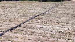 “KÖYÜMÜZ ARTIK CENNET OLDU”