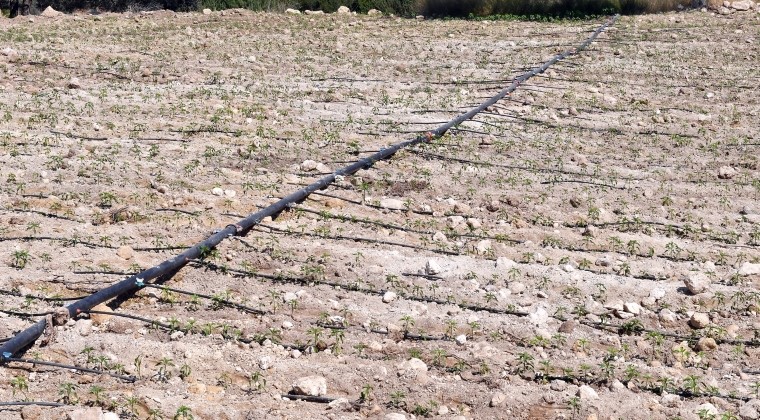 “KÖYÜMÜZ ARTIK CENNET OLDU”