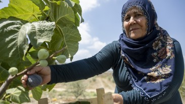 DÜŞLERİNE BÜYÜKŞEHİR’İN DESTEKLERİ İLE KAVUŞTU