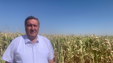ÜRETİCİ: “TMO DİBİNİ YAKTI”