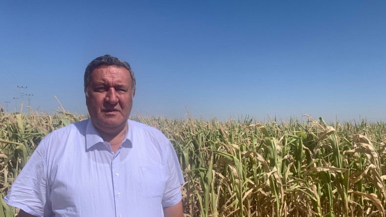 ÜRETİCİ: “TMO DİBİNİ YAKTI”