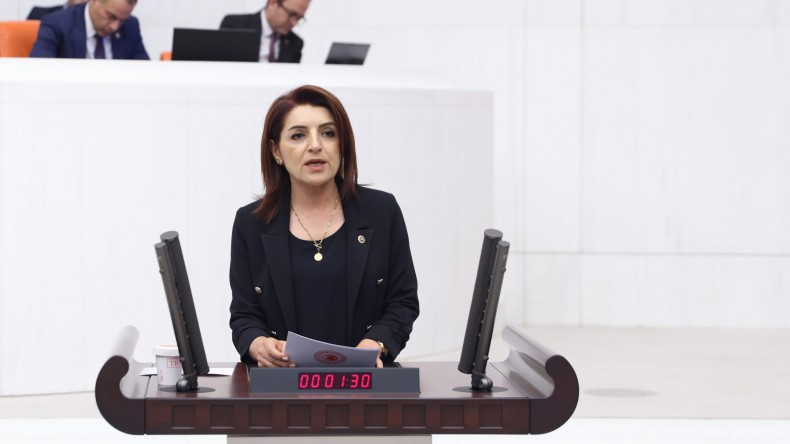 GÜLCAN KIŞ, OTİZMLİ ÇOCUKLARIN SESİ OLDU