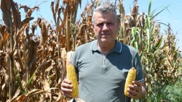 “MISIR ÜRETİCİSİNİ SICAKLAR DEĞİL DERTLER YAKIYOR”