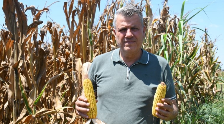 “MISIR ÜRETİCİSİNİ SICAKLAR DEĞİL DERTLER YAKIYOR”