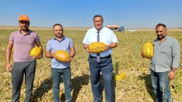 GÜRER: “ÜRETEN VE TÜKETEN ZORDA, ARACILARIN İŞİ TIKIRINDA”