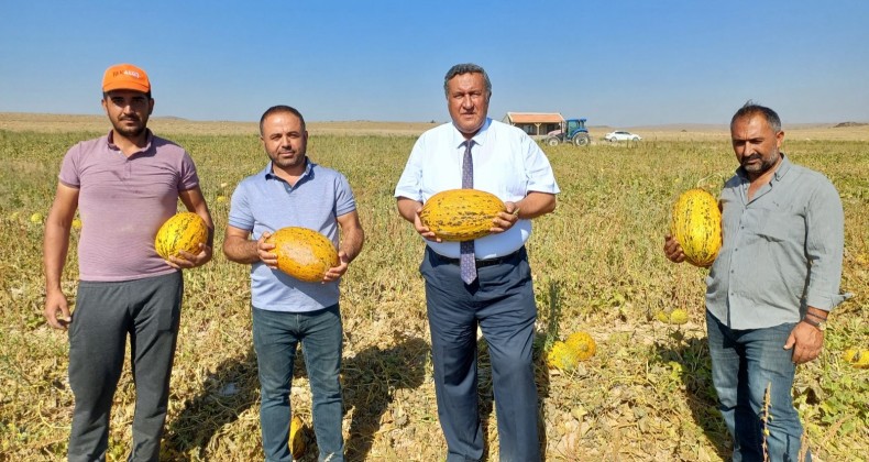 GÜRER: “ÜRETEN VE TÜKETEN ZORDA, ARACILARIN İŞİ TIKIRINDA”