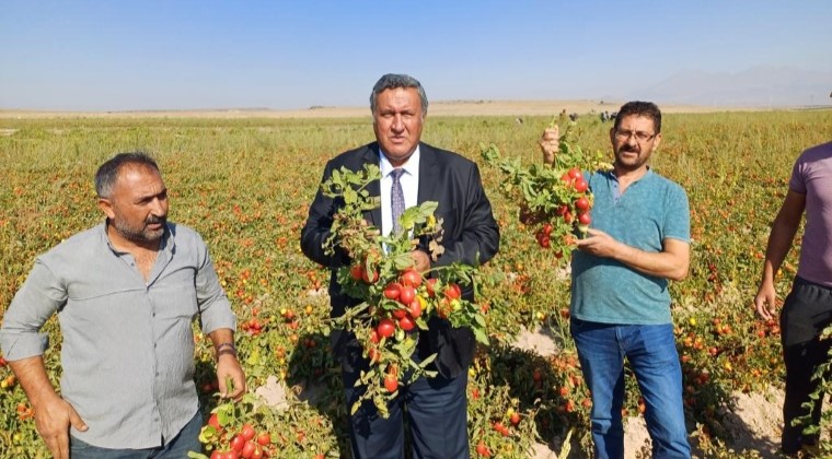 GÜRER: “TARIMDA BAŞIBOŞLUK ÜRETENİ, TÜKETENİ VURUYOR “