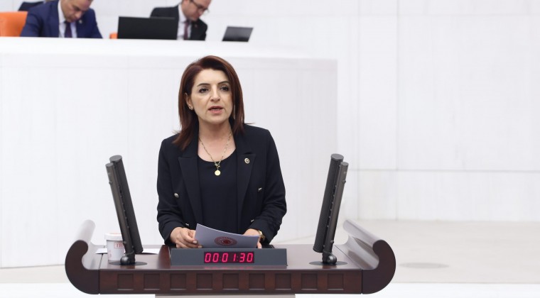 GÜLCAN KIŞ: “TÜRKİYE’DE GEÇİMİN ADI: KREDİ KARTI”
