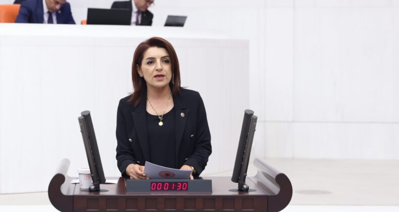 GÜLCAN KIŞ: “TÜRKİYE’DE GEÇİMİN ADI: KREDİ KARTI”