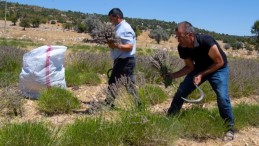 KÖSEÇOBANLI’DA ÜRETİCİLER İSTEDİ, BÜYÜKŞEHİR YERİNE GETİRDİ