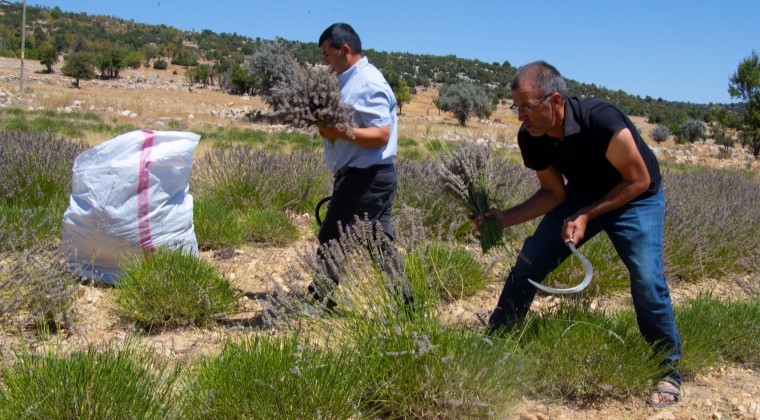 KÖSEÇOBANLI’DA ÜRETİCİLER İSTEDİ, BÜYÜKŞEHİR YERİNE GETİRDİ