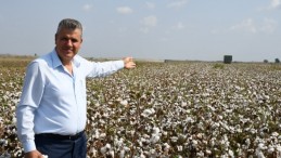 “MALİYETLER HEP ARTTI, PAMUK FİYATI İSE GERİLEDİ”
