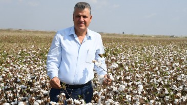 “BEYAZ ALTIN PAMUKTA KAPKARA TABLO”