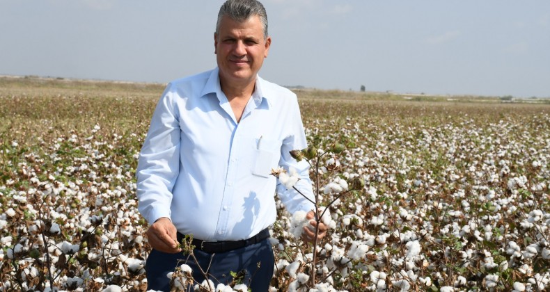 “BEYAZ ALTIN PAMUKTA KAPKARA TABLO”