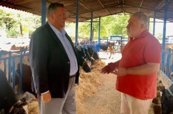 GÜRER: “HAYVANCILIKTA İTHALATLA ÇÖZÜM OLMUYOR”